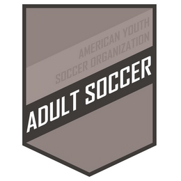AMERICAN YOUTH SOCCER ORGANIZATION ADULT SOCCER logo