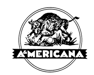 A&MERICANA logo