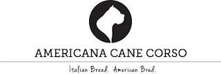 AMERICANA CANE CORSO ITALIAN BREED. AMERICAN BRED. logo