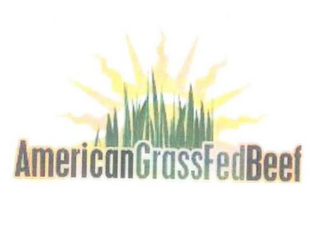 AMERICANGRASSFEDBEEF logo