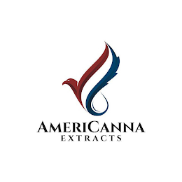 AMERICANNA EXTRACTS logo