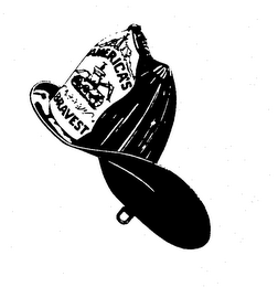 AMERICA'S BRAVEST logo