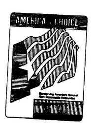 AMERICA'S CHOICE logo
