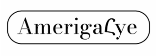 AMERIGAHYE logo