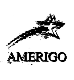AMERIGO logo