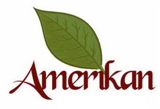 AMERIKAN logo