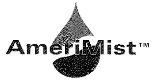 AMERIMIST logo