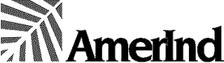 AMERIND logo