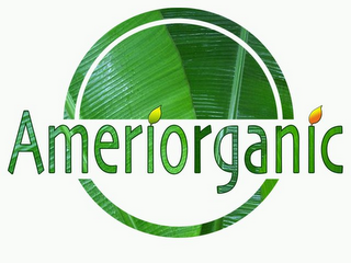 AMERIORGANIC logo