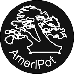 AMERIPOT logo