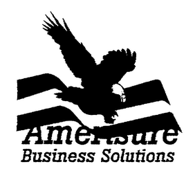 AMERISURE BUSINESS SOLUTIONS