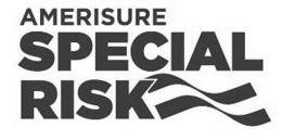 AMERISURE SPECIAL RISK logo