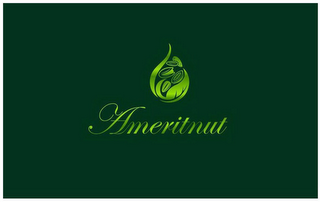 AMERITNUT logo