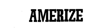 AMERIZE logo