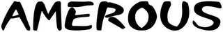 AMEROUS logo