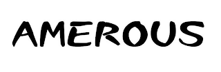 AMEROUS logo