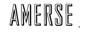 AMERSE logo