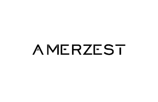AMERZEST logo