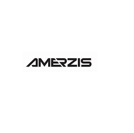 AMERZIS logo