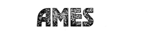 AMES logo