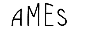 AMES logo