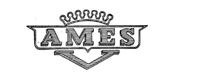 AMES logo