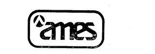 AMES logo