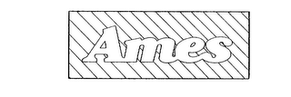 AMES logo
