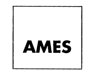 AMES logo