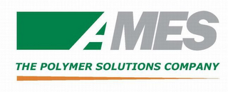 AMES THE POLYMER SOLUTIONS COMPANY logo