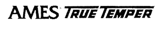AMES TRUE TEMPER logo