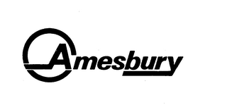 AMESBURY logo