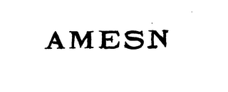 AMESN logo