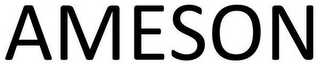 AMESON logo