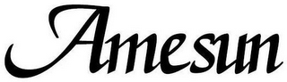 AMESUN logo