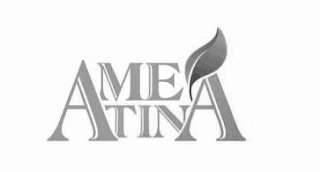 AMETINA logo