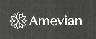 AMEVIAN logo