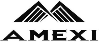 AMEXI logo