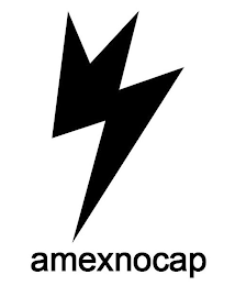 AMEXNOCAP logo