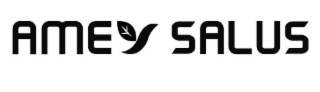 AMEY SALUS logo