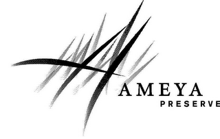 AMEYA PRESERVE logo