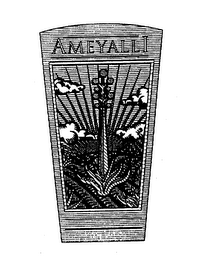 AMEYALLI logo