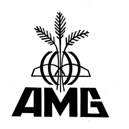 AMG logo