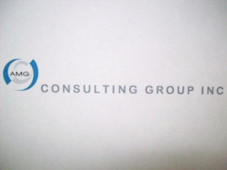 AMG CONSULTING GROUP INC logo