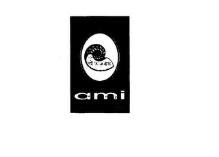 AMI APPLICATION OF METRICS IN INDUSTRY logo