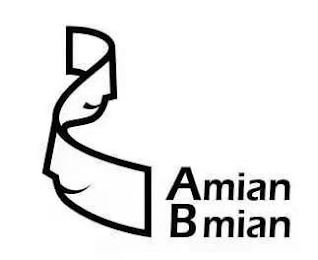AMIAN BMIAN logo