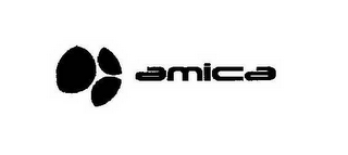 AMICA logo