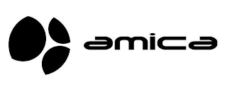 AMICA logo
