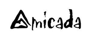 AMICADA logo