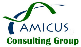 AMICUS CONSULTING GROUP logo